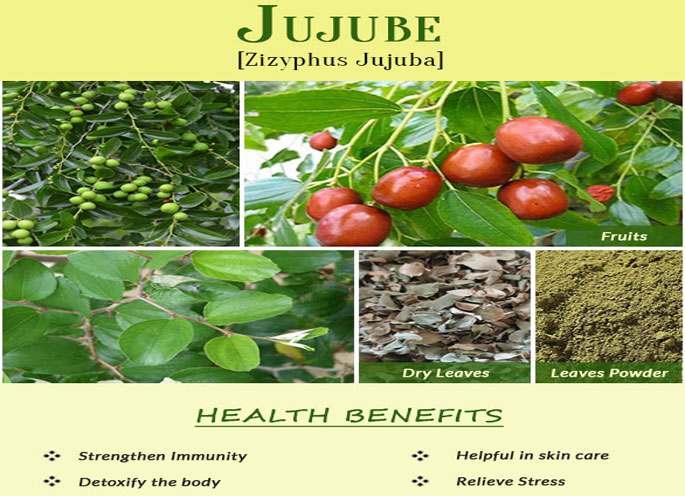 Jujube